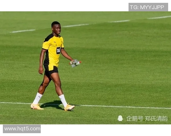 京多安的崛起与挑战解析：从德甲明星到英超战术核心的转变之路