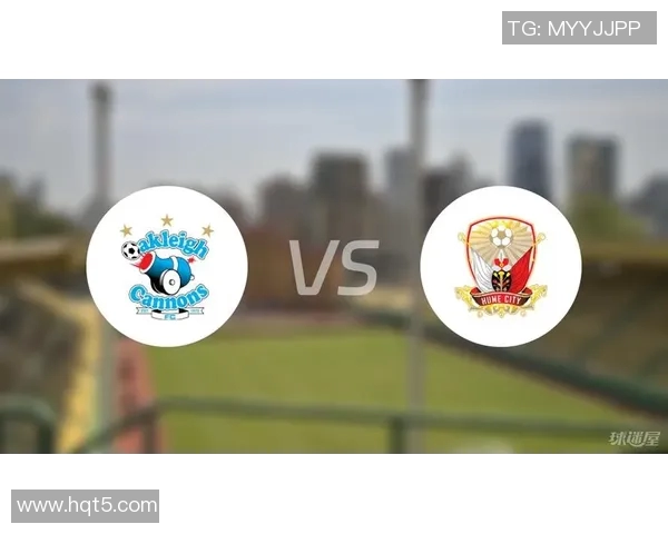 休城对决欧克莱卡诺精彩赛事分析与战术探讨